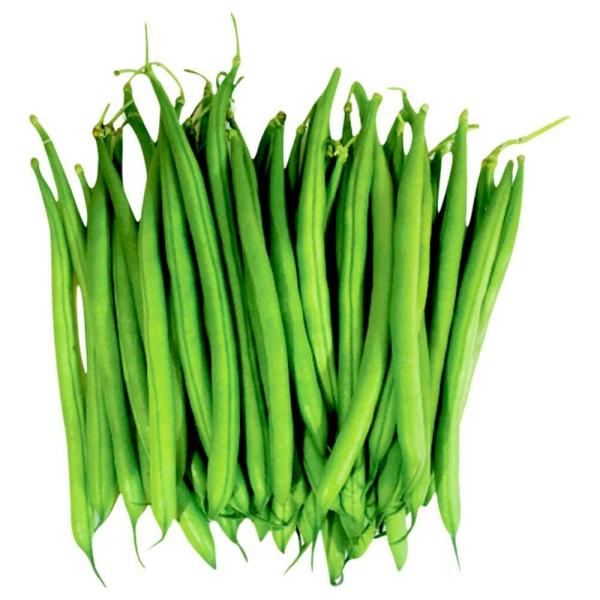 French Beans