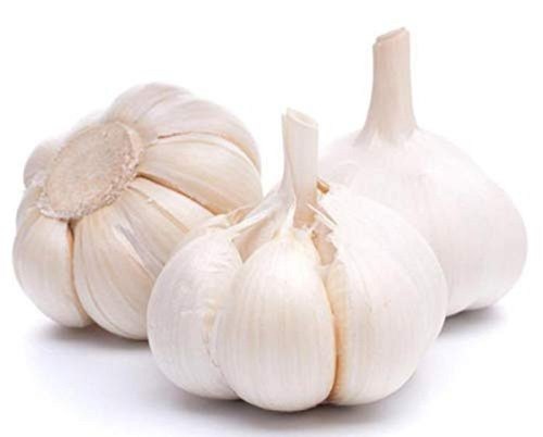 Garlic Hybrid