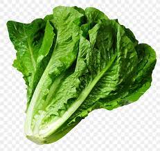 Lettuce Greek