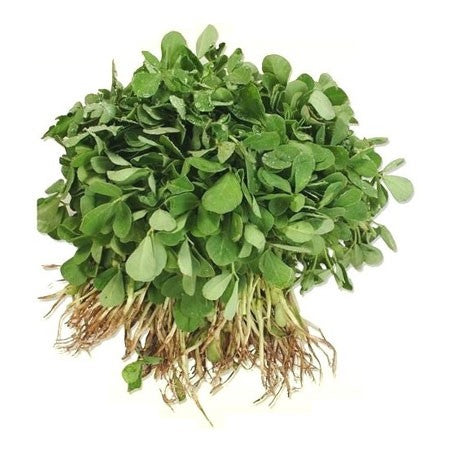 Methi