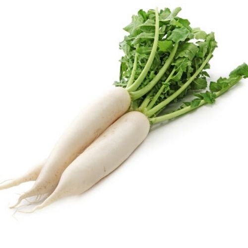 Radish