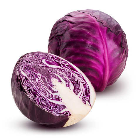 Red Cabbage